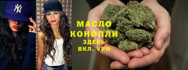дмт Алексин