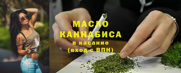 дмт Алексин