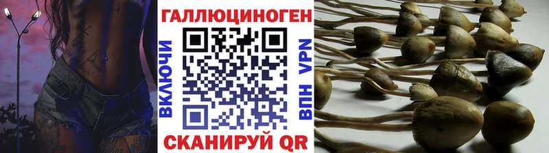 Галлюциногенные грибы GOLDEN TEACHER  Печоры 